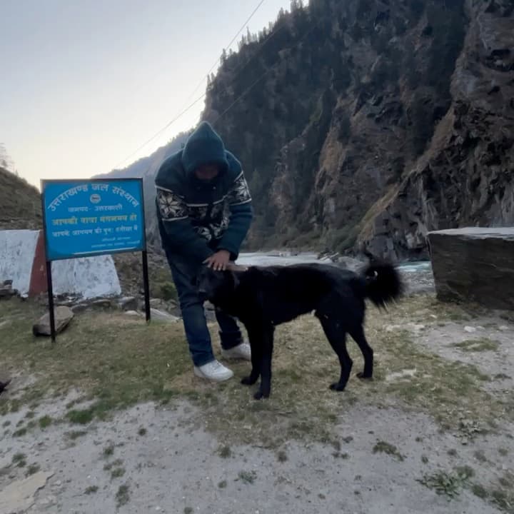 Meeting a dog on a mountain road in Uttarakhand